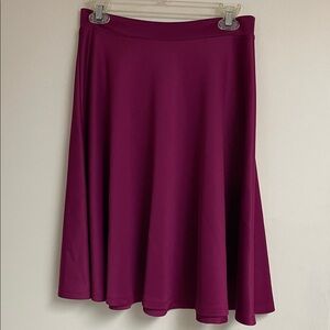 Chic Fuchsia A-Line Skirt size large excellent condition